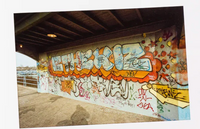 Thomas Christ: Instant Recognition  Subway/Urban Graffiti. New York/Basel 82/83 BRAND NEW, SHIPS From US